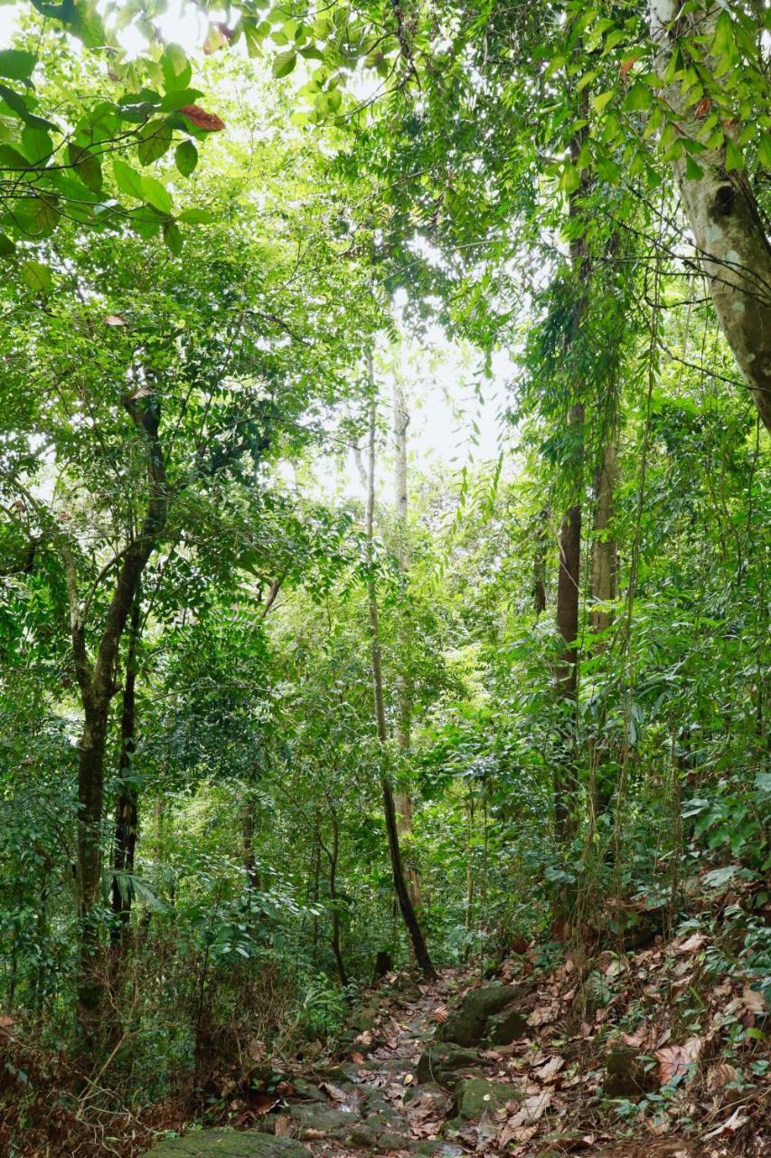 Paradise Eco Garden 基图尔格勒 外观 照片
