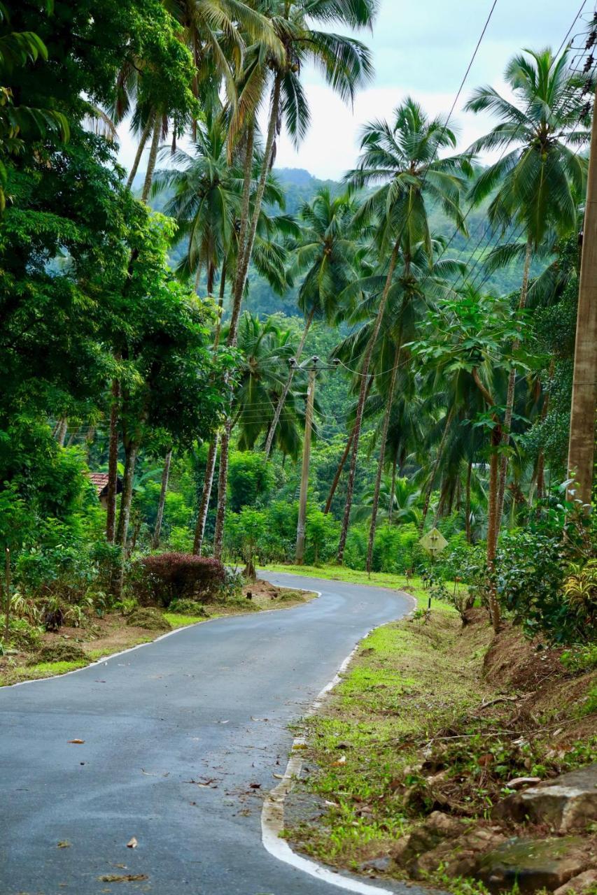 Paradise Eco Garden 基图尔格勒 外观 照片