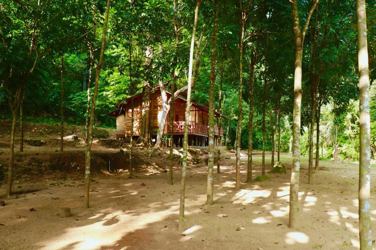 Paradise Eco Garden 基图尔格勒 外观 照片