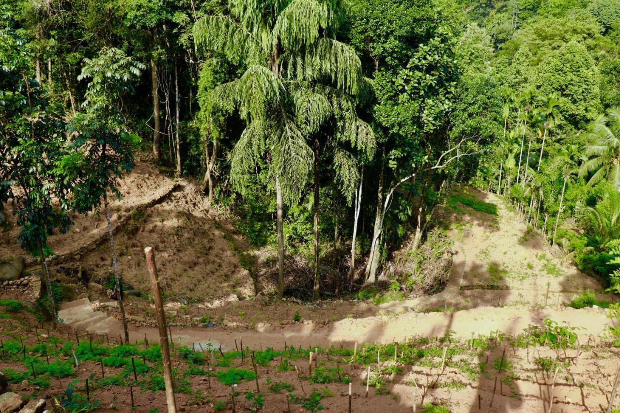 Paradise Eco Garden 基图尔格勒 外观 照片