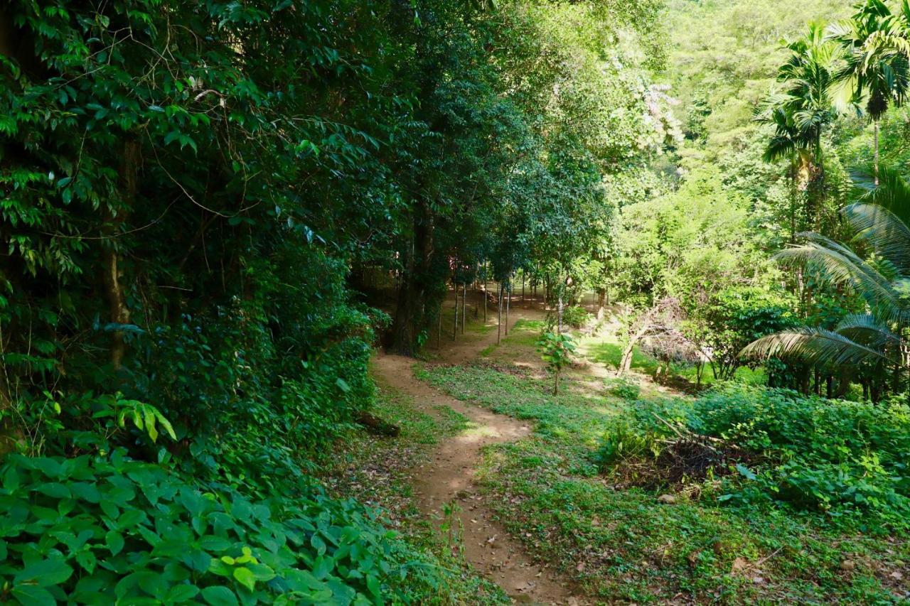 Paradise Eco Garden 基图尔格勒 外观 照片