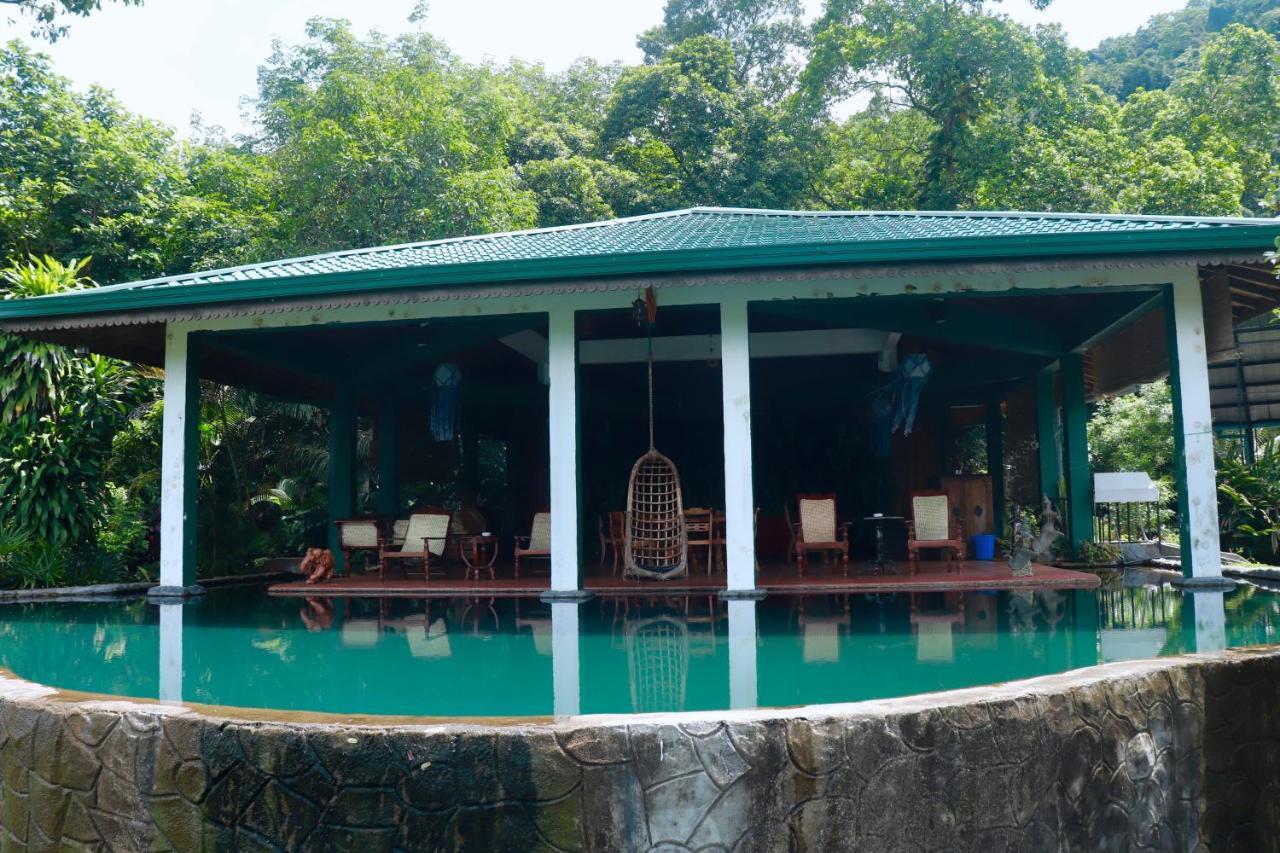 Paradise Eco Garden 基图尔格勒 外观 照片