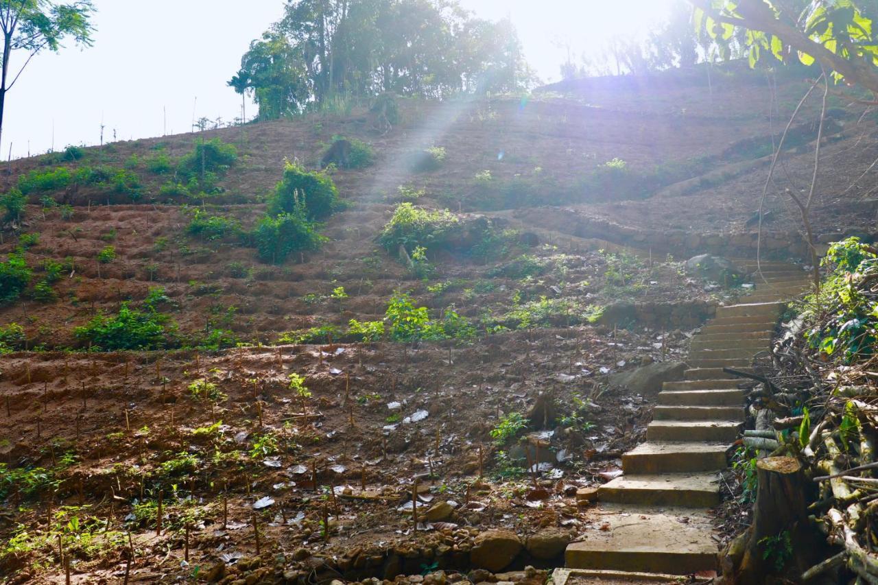 Paradise Eco Garden 基图尔格勒 外观 照片